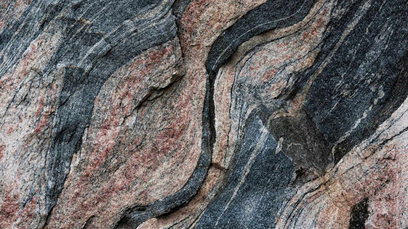 Migmatite